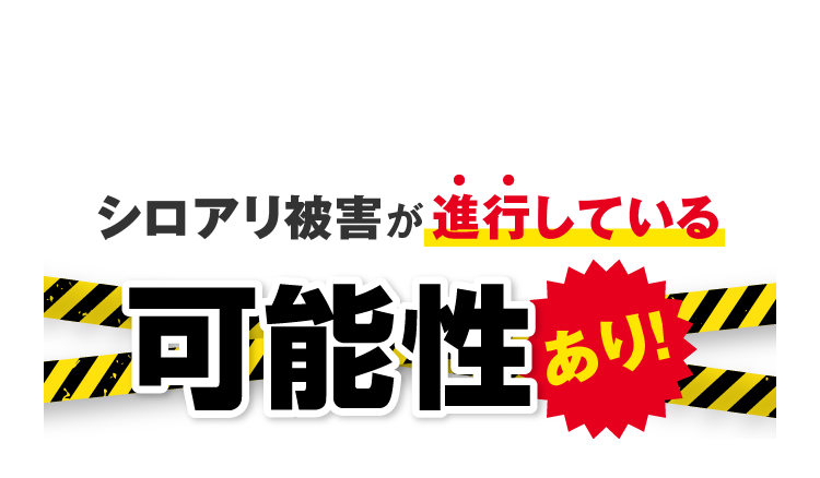 こんな時はシロアリ被害が進行している可能性あり！