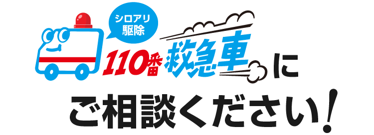 シロアリ駆除110番救急車にご相談ください!