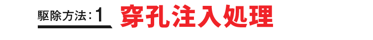 駆除方法：1 穿孔注入処理