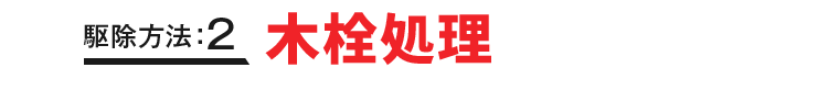 駆除方法：2 木栓処理