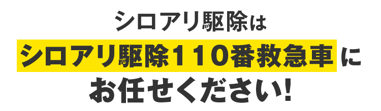 シロアリ駆除はシロアリ駆除110番救急車にお任せください！