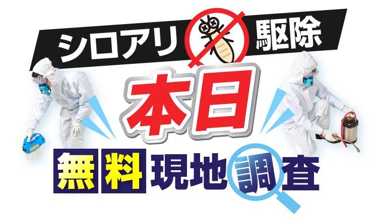 シロアリ駆除 本日 無料現地調査